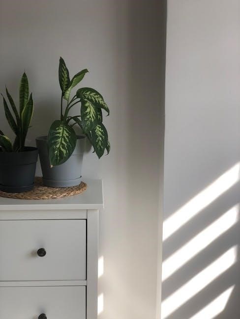 dumb and dumber to parents guide