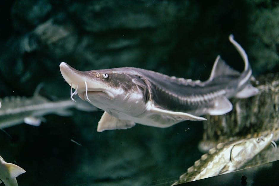 columbia river sturgeon fishing guides