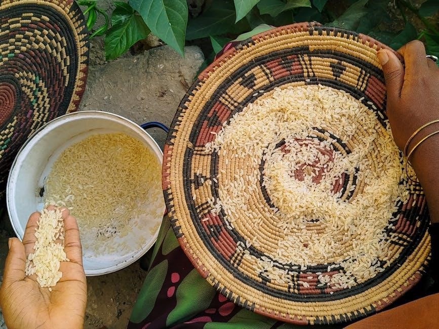 black decker rice cooker manual