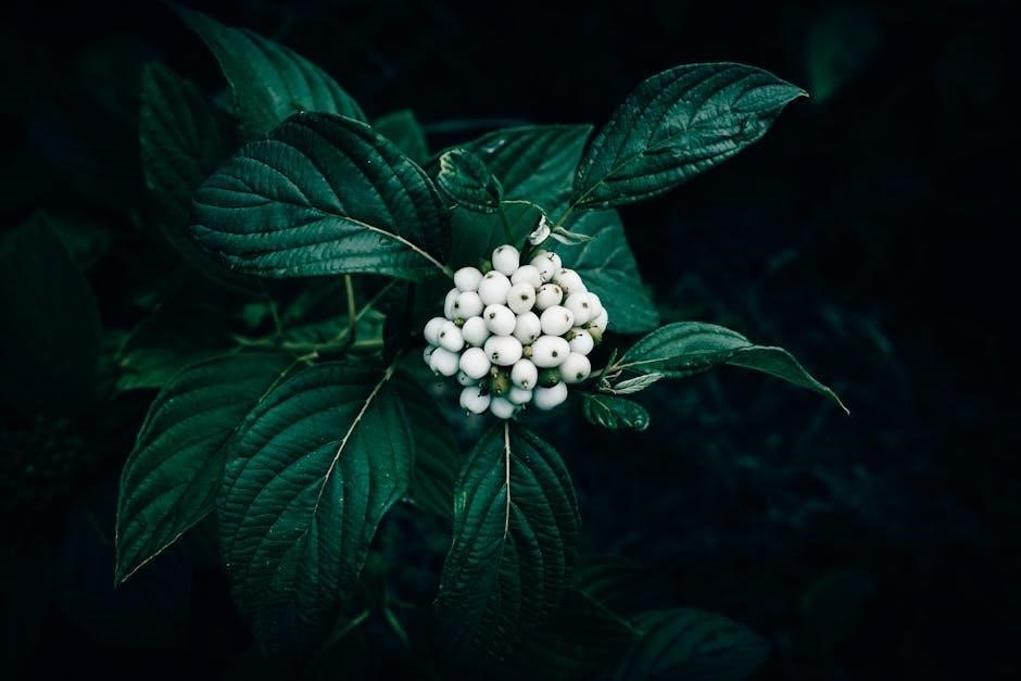 wendell berry the peace of wild things pdf