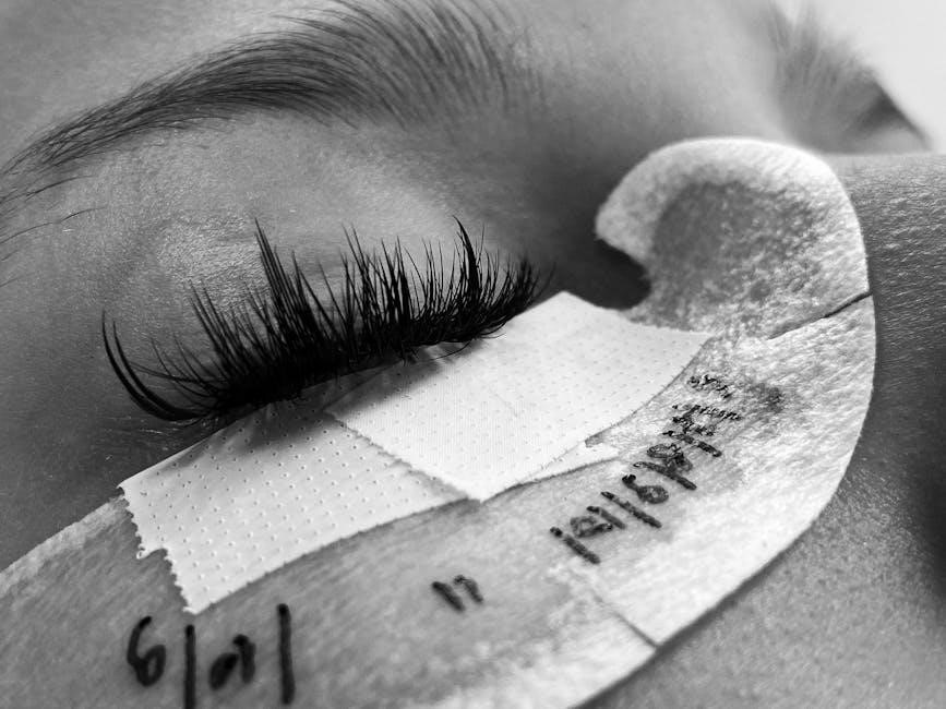 guide to lash extensions
