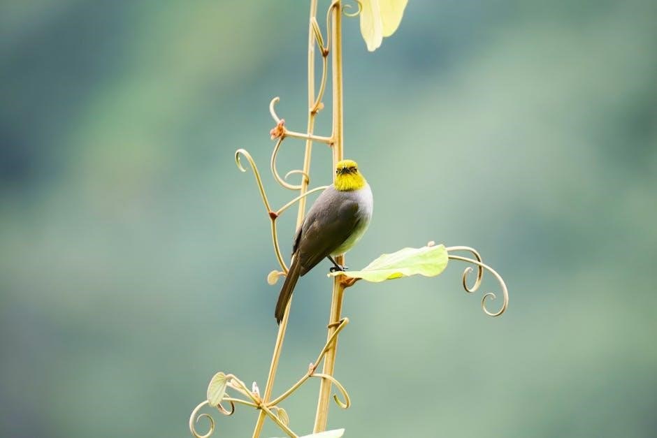 free michigan lady bird deed pdf